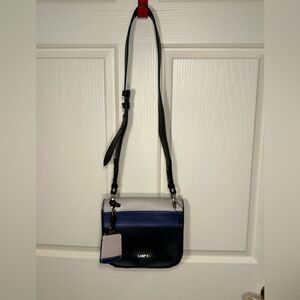 Carpisa purse 
